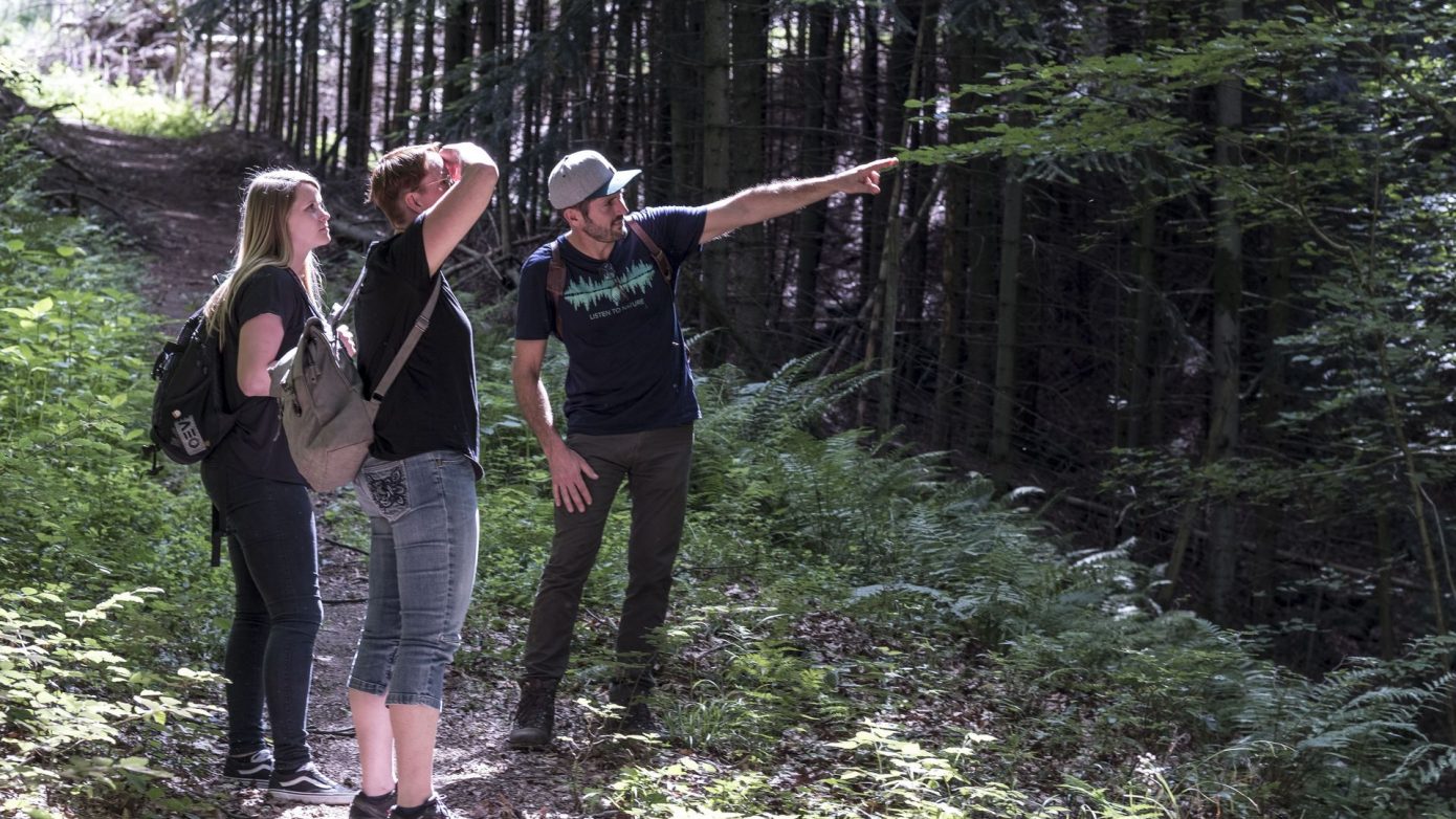 Drei Personen stehen auf einem Waldweg. Fritz Herkenrath erklärt den Wald, die Bäume und das Waldbaden.