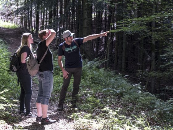 Drei Personen stehen auf einem Waldweg. Fritz Herkenrath erklärt den Wald, die Bäume und das Waldbaden.