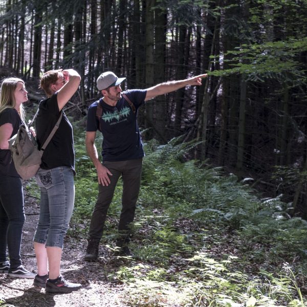 Drei Personen stehen auf einem Waldweg. Fritz Herkenrath erklärt den Wald, die Bäume und das Waldbaden.